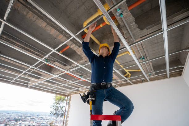 Best Plumbing Inspection Services  in Granger, IN